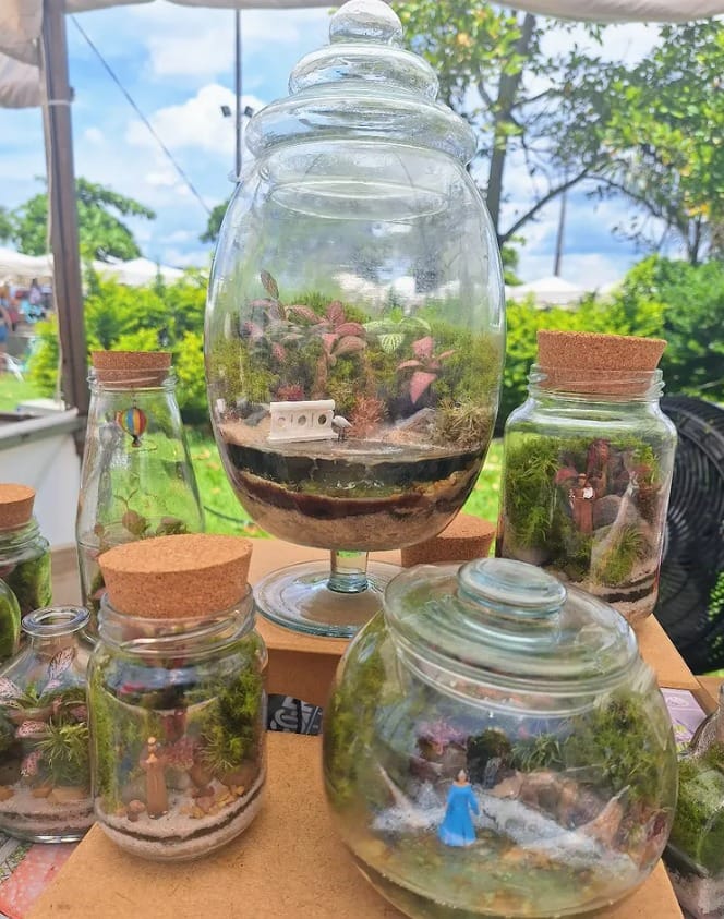 Mesa de exposição da Casa dos Terrários no GranBazar, com vários terrários fechados de diferentes tamanhos e miniaturas, sob tenda branca.